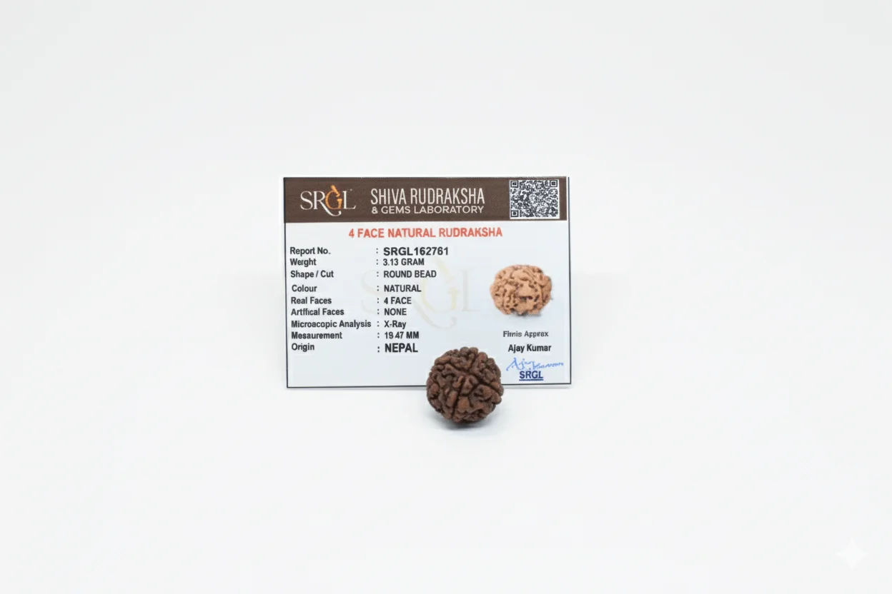Original 4 Mukhi Rudraksha – Natural Bead | Certified & Energized for Knowledge & Creativity - Image 3