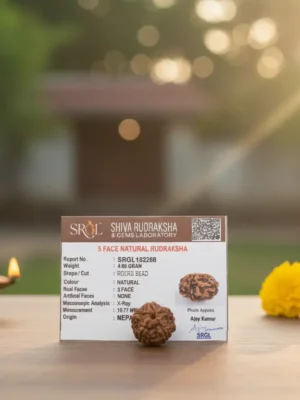 5-mukhi_Image_75rui775rui775ru.webp Original 5 Mukhi Rudraksha - Natural Bead | Certified & Energized for Health, Peace & Spiritual Growth