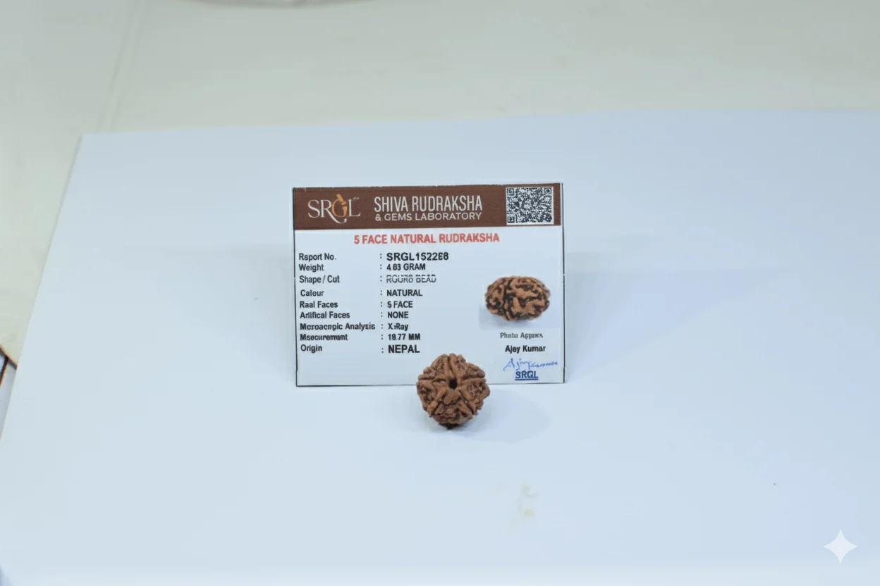 Original 5 Mukhi Rudraksha - Natural Bead | Certified & Energized for Health, Peace & Spiritual Growth - Image 5