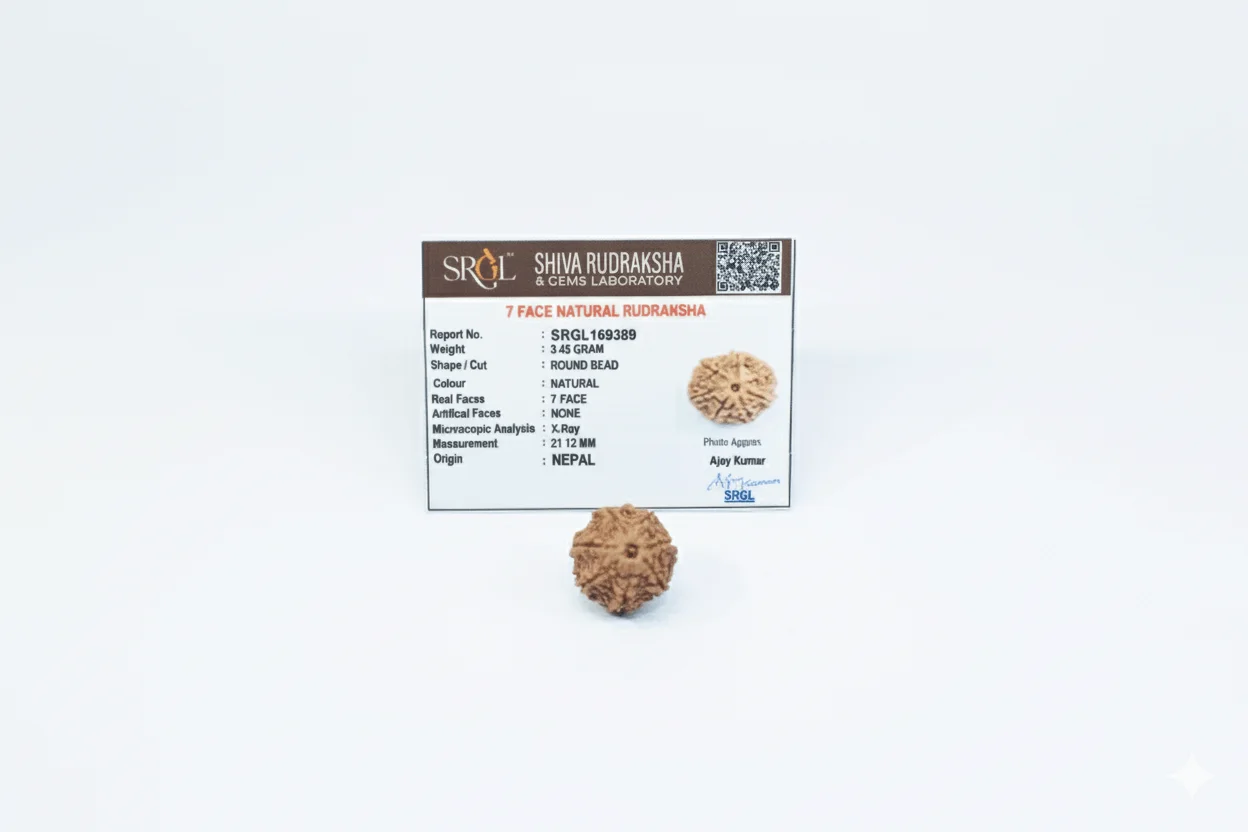 Original 7 Mukhi Rudraksha – Natural Bead | Certified & Energized for Wealth, Career & Prosperity - Image 2