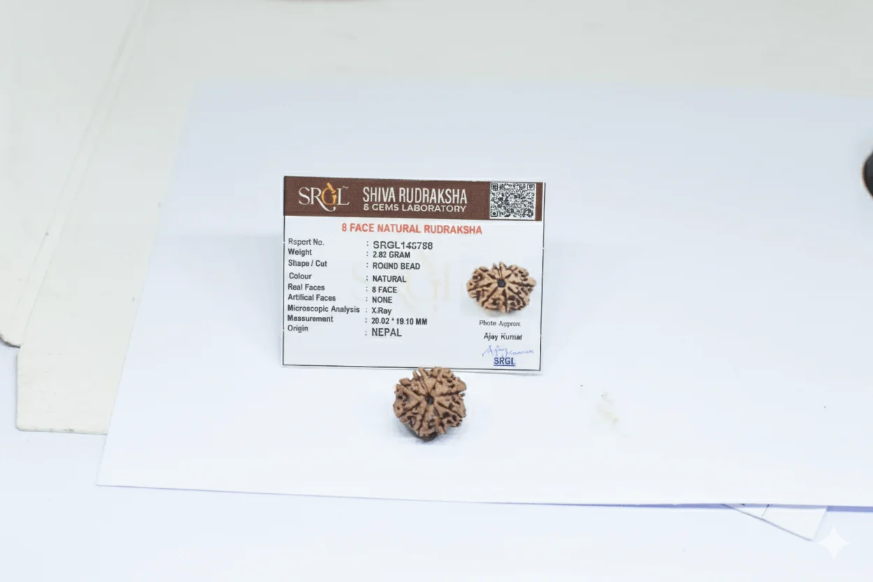 Original 8 Mukhi Rudraksha, Natural Bead | Certified & Energized for Obstacles Removal & Rahu Dosh Shanti - Image 5