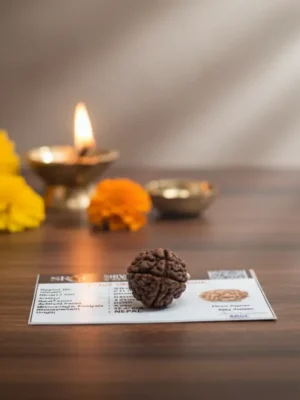 Gemini_Generated_Image_njnamfnjnamfnjna.webp Original 4 Mukhi Rudraksha – Natural Bead | Certified & Energized for Knowledge & Creativity