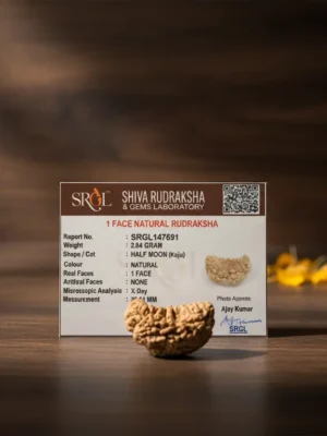 Gemini_Generated_Image_pucna4pucna4pucn.webp Original 1 Mukhi Rudraksha – Rare Natural Bead | Certified & Energized for Moksha & Divine Blessings