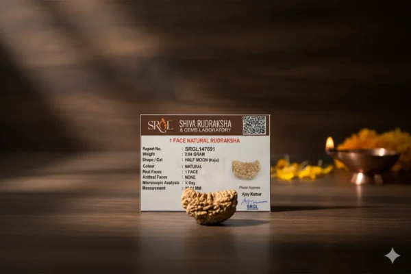 Original 1 Mukhi Rudraksha – Rare Natural Bead | Certified & Energized for Moksha & Divine Blessings