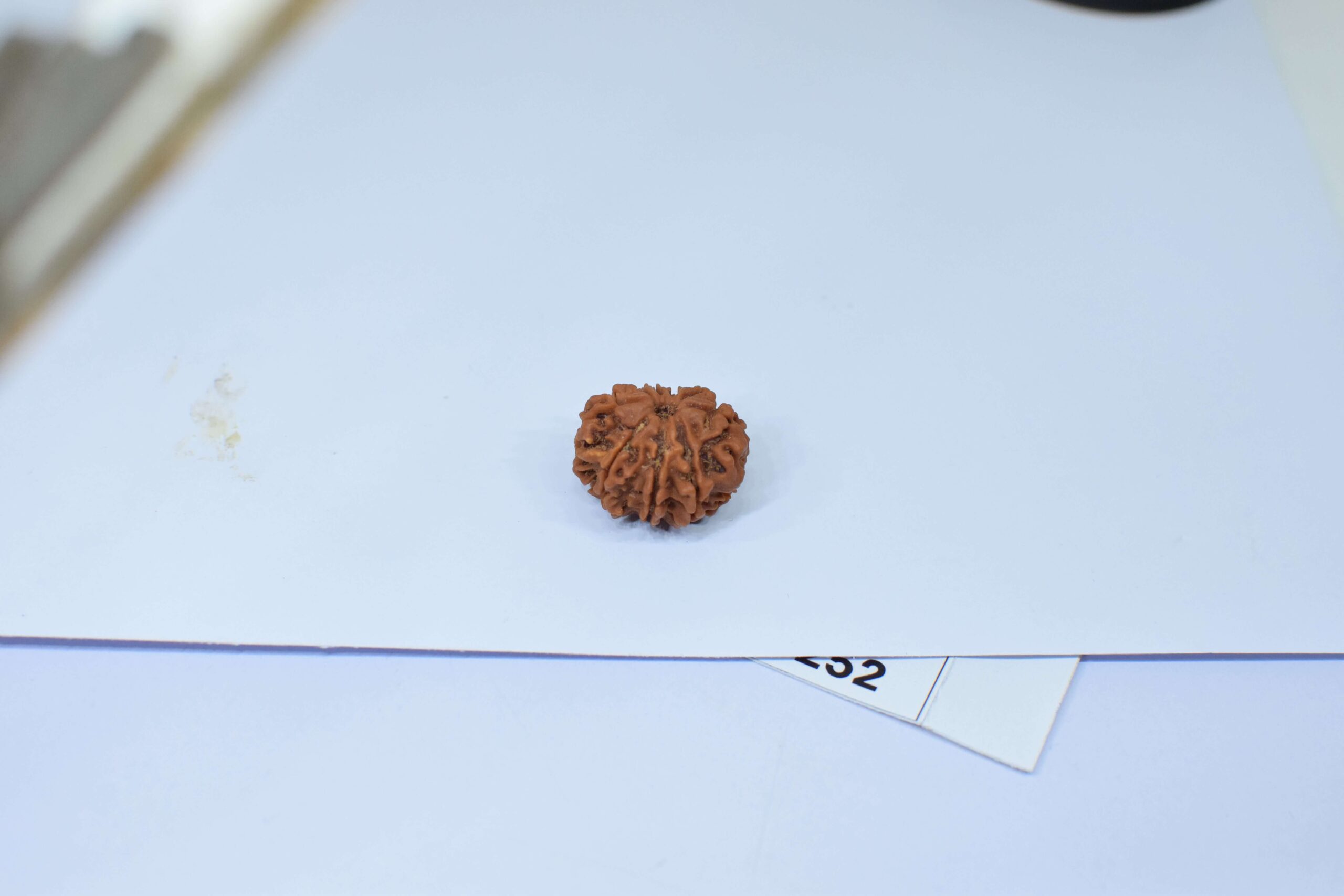 Original 9 Mukhi Rudraksha – Natural Bead | Certified & Energized for Power, Protection & Shakti - Image 5