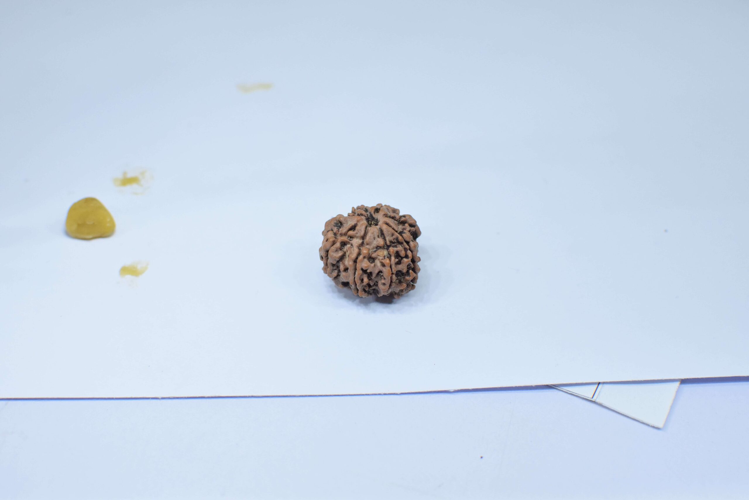 Original 8 Mukhi Rudraksha, Natural Bead | Certified & Energized for Obstacles Removal & Rahu Dosh Shanti - Image 4