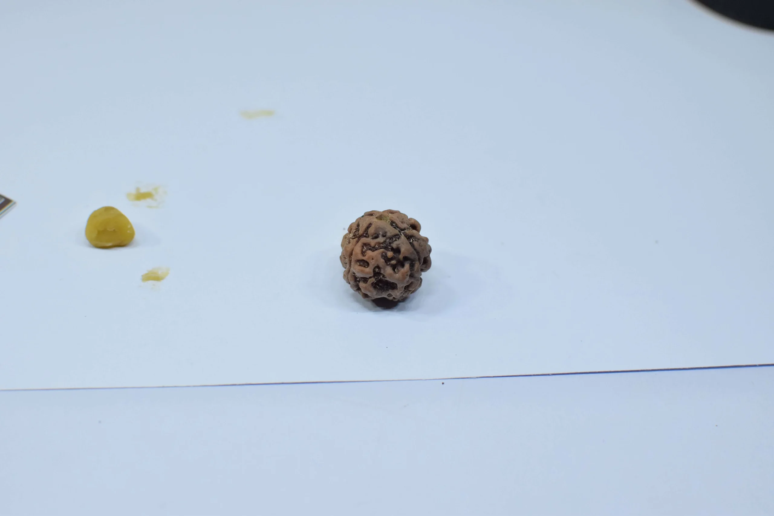 Original 4 Mukhi Rudraksha – Natural Bead | Certified & Energized for Knowledge & Creativity - Image 4