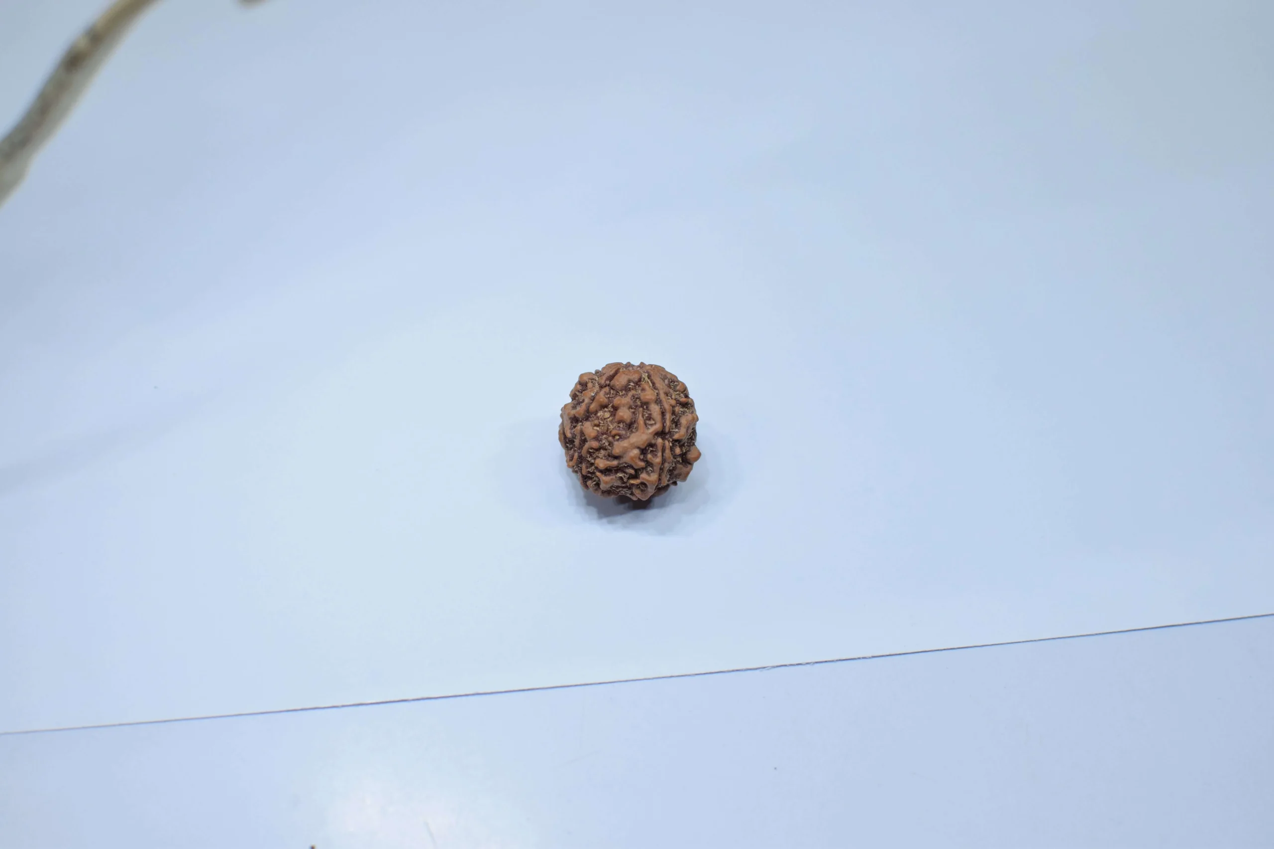 Original 5 Mukhi Rudraksha - Natural Bead | Certified & Energized for Health, Peace & Spiritual Growth - Image 3