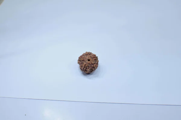 Original 5 Mukhi Rudraksha - Natural Bead | Certified & Energized for Health, Peace & Spiritual Growth - Image 6