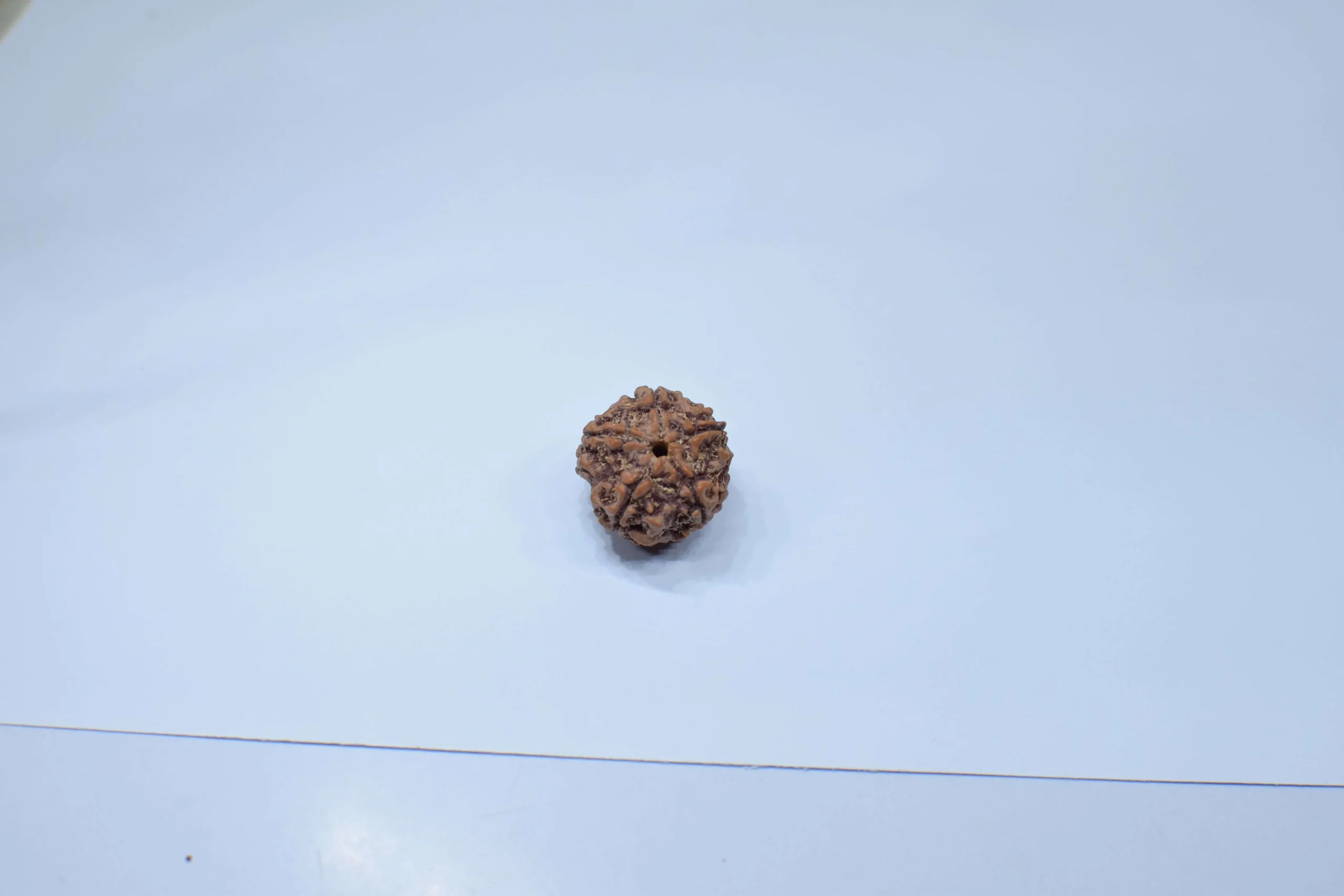 Original 5 Mukhi Rudraksha - Natural Bead | Certified & Energized for Health, Peace & Spiritual Growth - Image 6