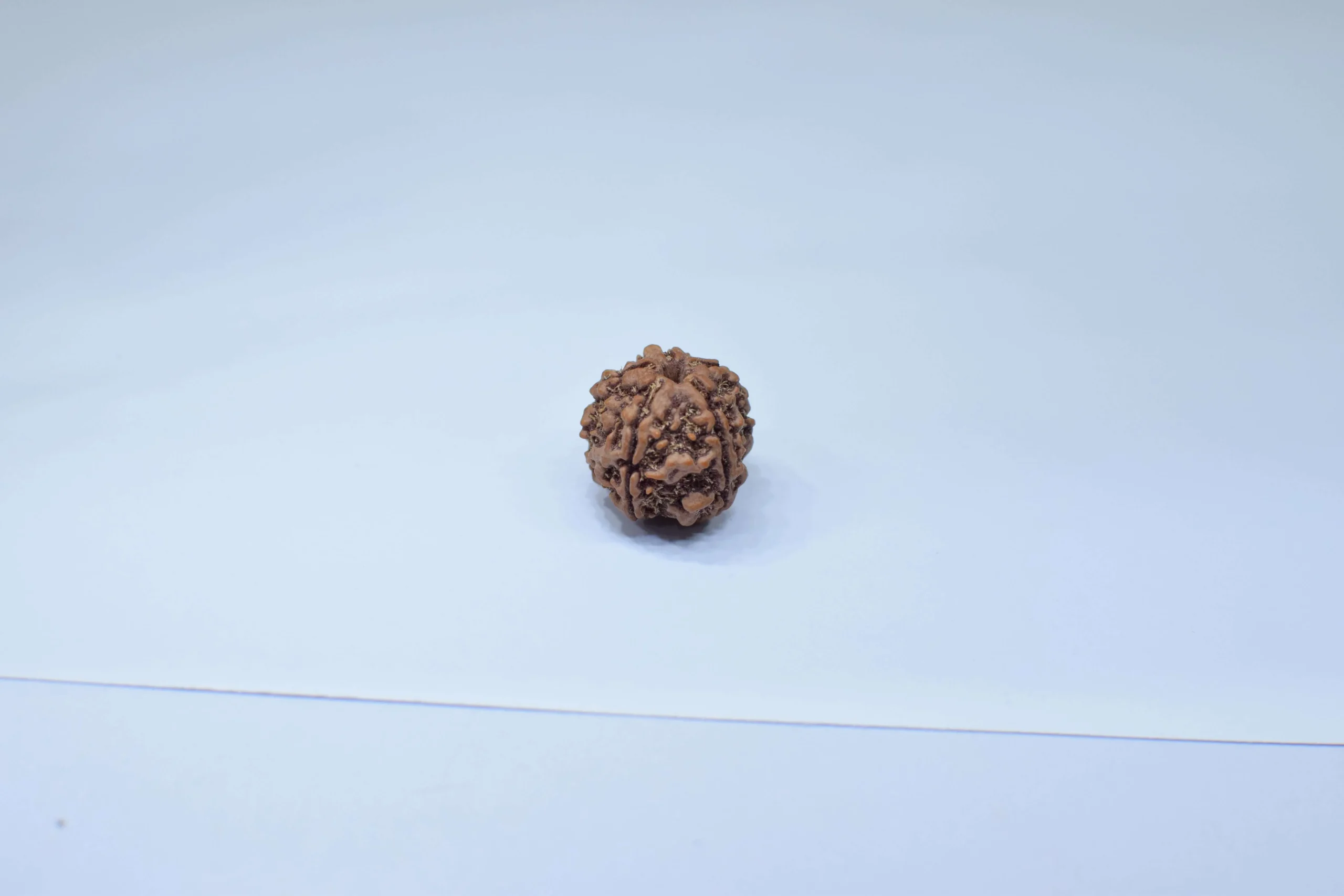 Original 5 Mukhi Rudraksha - Natural Bead | Certified & Energized for Health, Peace & Spiritual Growth - Image 4